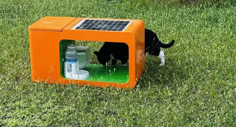 HelpStreetCat feeding station with a cat in Alanya